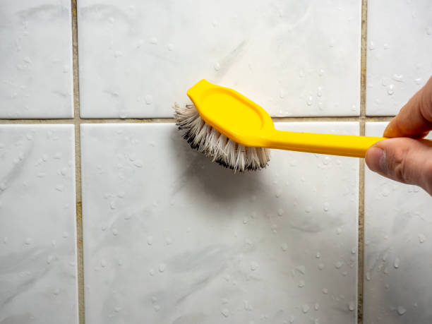 Professional Mold Remediation in Morgantown, MS