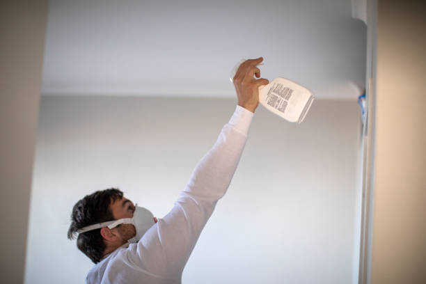 Best Preventive Mold Services in Morgantown, MS