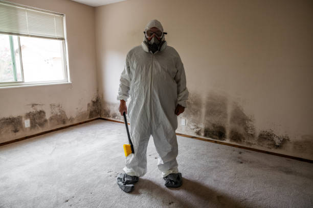Trusted Morgantown, MS Mold Remediation Experts